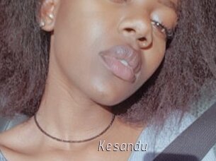 Kesandu