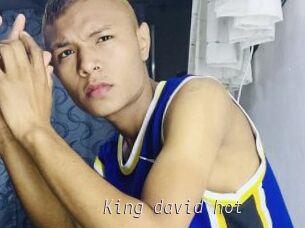 King_david_hot