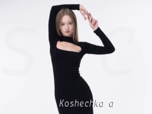 Koshechka_a