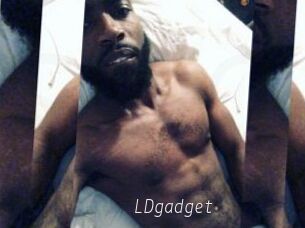 LDgadget