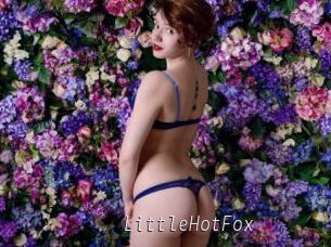 LittleHotFox
