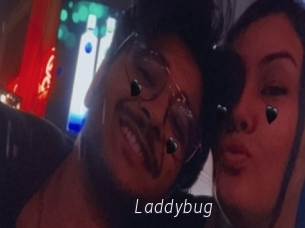 Laddybug
