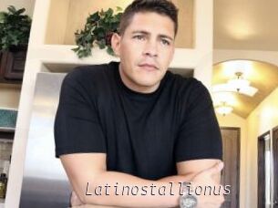 Latinostallionus