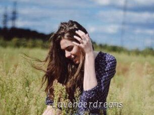 Lavenderdreams
