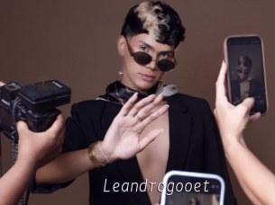 Leandrogooet