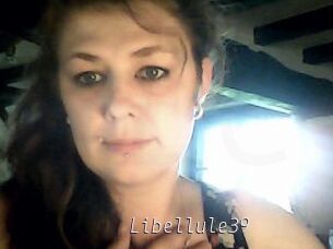 Libellule39