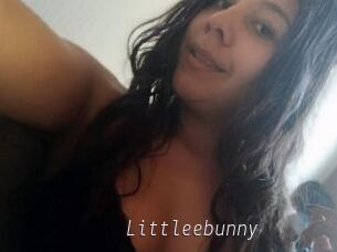 Littleebunny