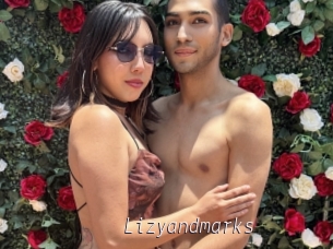 Lizyandmarks