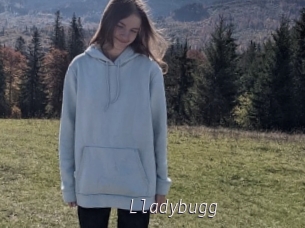 Lladybugg