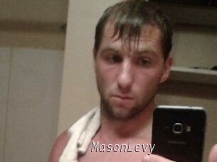 Mason_Levy
