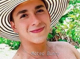 Mateo_Bunny