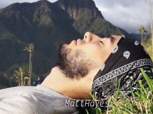 MattHayes