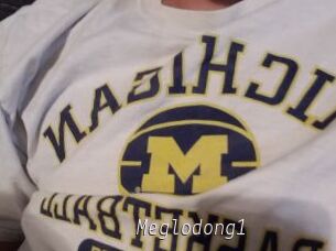 Meglodong1