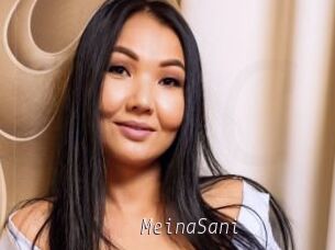 MeinaSani