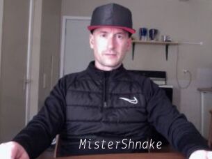 MisterShnake