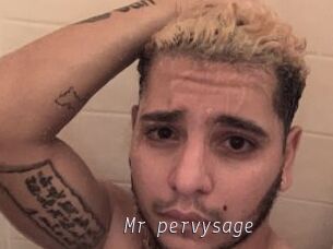 Mr_pervysage
