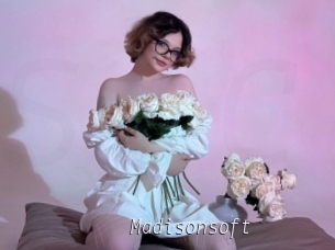 Madisonsoft