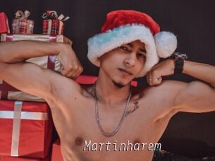 Martinharem