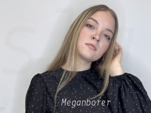 Meganborer