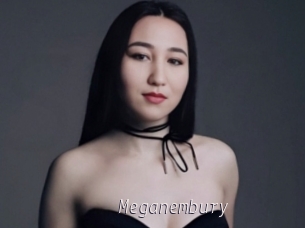 Meganembury