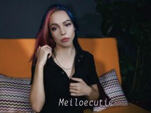 Meiloecutie