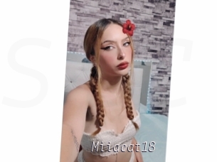 Miiacat18