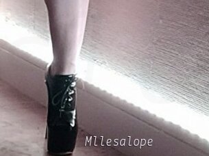 Mllesalope