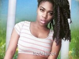 Modelmook