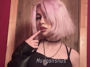 Morgansnus