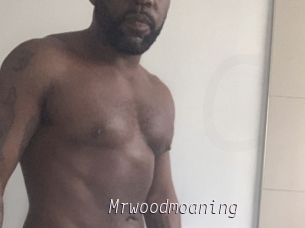 Mrwoodmoaning