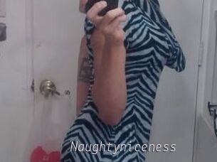 Naughtyniceness