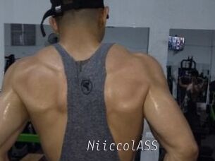 NiiccolASS