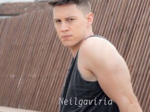 Neilgaviria
