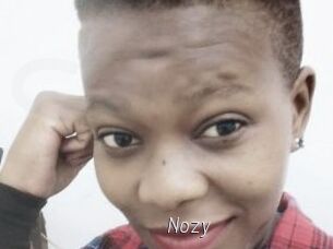 Nozy