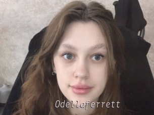 Odellaferrett