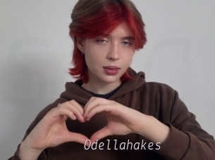 Odellahakes
