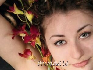 Orchidwild