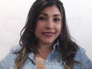 PAMELA_zv