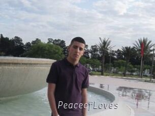 PeaceofLoves