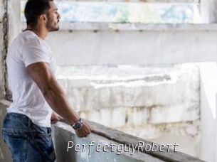 PerfectguyRobert