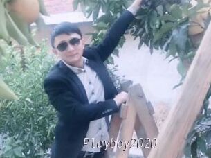 Playboy2020