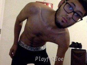PlayfulJoe