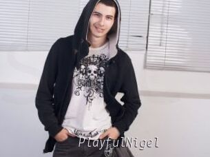 PlayfulNigel