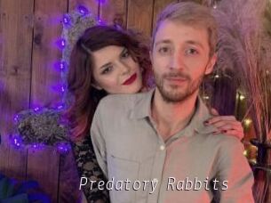 Predatory_Rabbits
