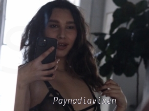 Paynadiavixen