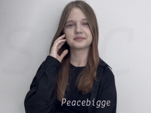 Peacebigge