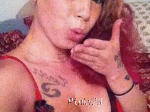 Pinky23