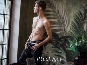 Pluckygay