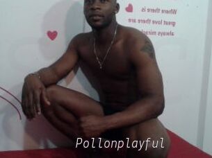 Pollonplayful
