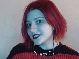 Poppyblom